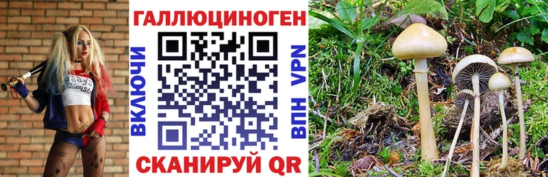 Галлюциногенные грибы GOLDEN TEACHER  MEGA вход  Шелехов 